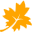 Maple Professional icon
